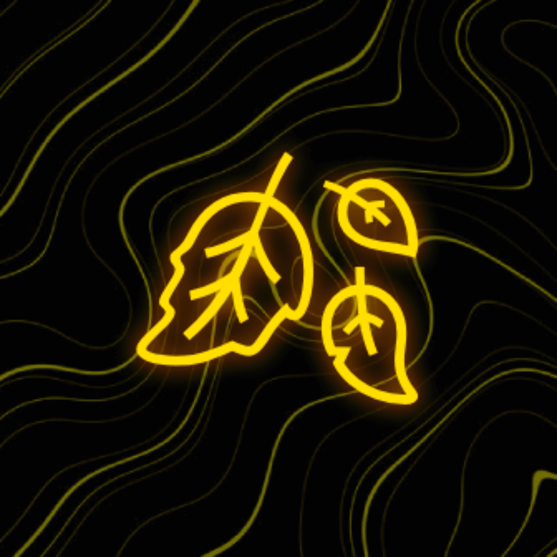 LeafMC Server Image
